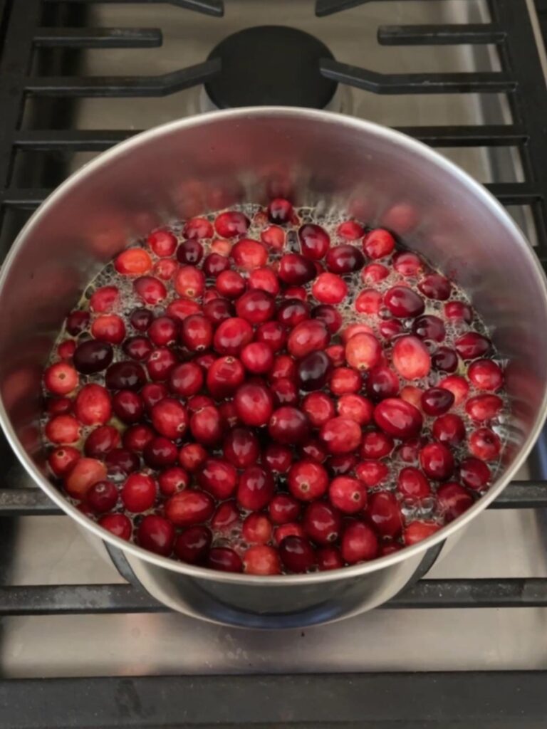 all the cranberry sauce ingredients in a saucepan on the stove